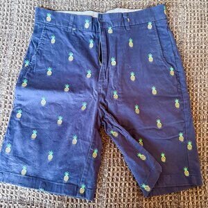 Isaac Mizrahi Mens Shorts (30 W)